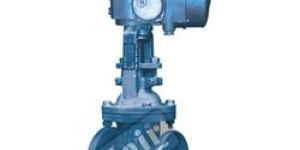 Motorized Gate Valve