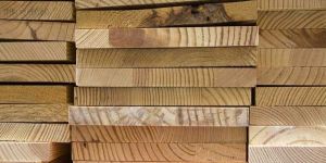 Termite Resistant Wood