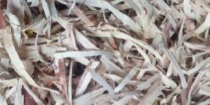 Sandal Wood Chips