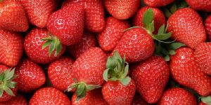 Fresh Strawberry