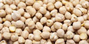 White Chickpeas