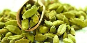 Green Cardamom