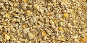 Cattle Feed Maize
