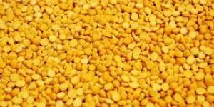 Chana Dal