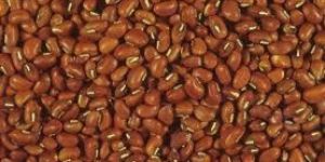 Red Cowpeas