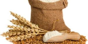 Ukraine Wheat Flour