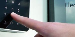 Electronic Security System