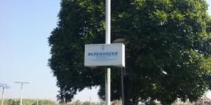 Solar CFL Street Light