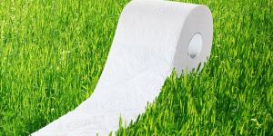 Hygienic Tissue Paper