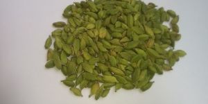 Bulk Green Cardamom