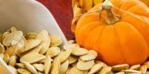 Pumpkin Seed