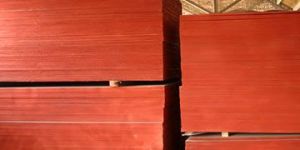 Shuttering Plywood