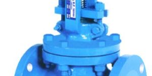 Cs Globe Valve