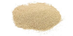 Dry Yeast