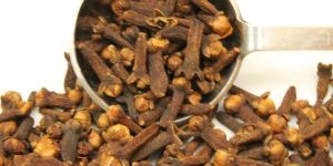 Clove Pods