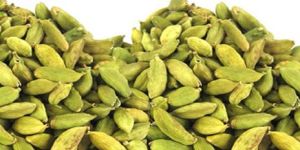 Green Cardamom