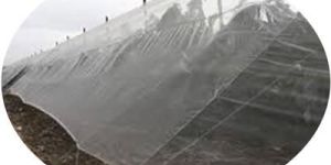 Tunnel Type Poly House