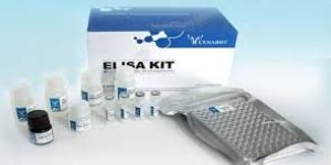 Elisa Kits