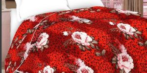 Ridan Comforter