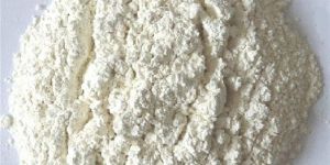 Dehydrated White Onion Powder