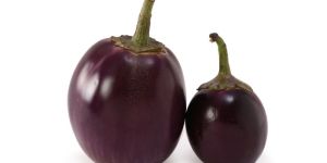 Fresh Bharta Brinjal