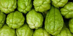 Fresh Chayote