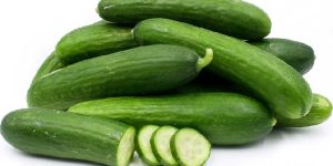 Fresh Cucumber