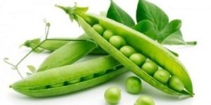Fresh Peas