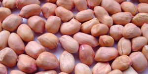 Raw Peanut Kernels