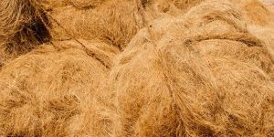 Coir Fiber