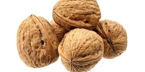 Shelled Walnuts