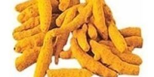 Turmeric Fingers