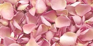 Flower Petals