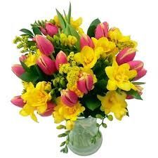 Fresh Freesia Flower