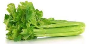 Fresh Celery