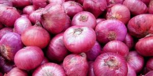 Fresh Red Onion