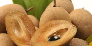 Fresh Sapota