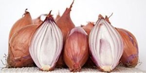 Fresh Shallot Onion