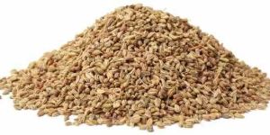 Carom Seeds
