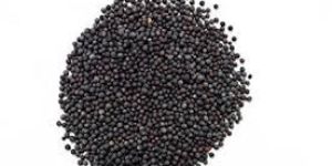 Black Mustard Seeds