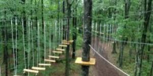 Installation Services