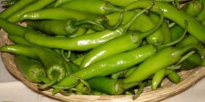 Fresh Green Chilli