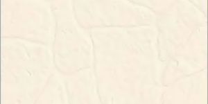 Ivory Stone Series Parking Tiles