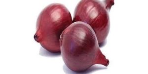 Fresh Organic Onion