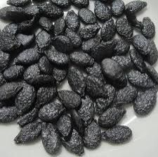 Ridge Gourd Seeds
