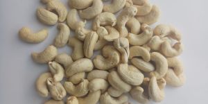 CASHEW NUT- WW240 GRADE