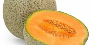 Fresh Muskmelon