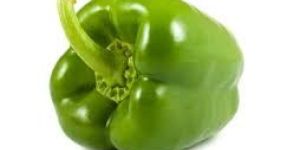 Fresh Green Capsicum