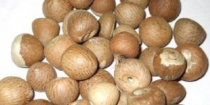 Betel Nuts