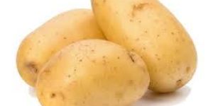 Fresh Potato